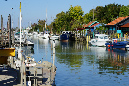 Ronce_11sept19_%20(45)