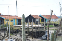 Ronce_11sept19_%20(5)