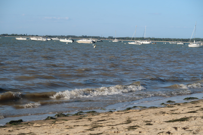 Aout_2019_%20(140)
