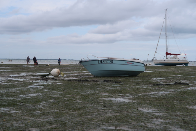 Aout_2019_%20(61)