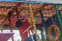 Aout_2019_%20(274)