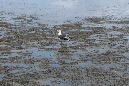 Aout_2019_%20(82)