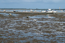 Aout_2019_%20(90)