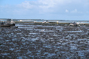 Aout_2019_%20(96)