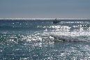 Saint_Gilles_11janvier%20(60)