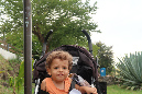Saint_Gilles_9janvier%20(17)