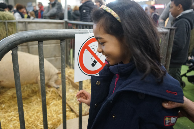 Agriculture_26-01-19%20(2)