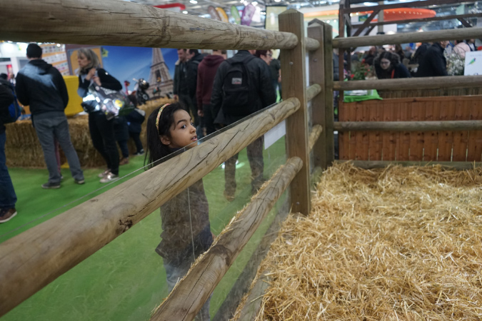 Agriculture_26-01-19%20(28)