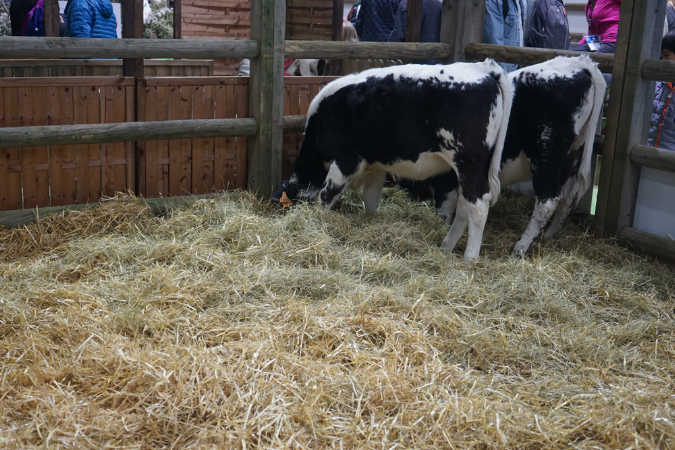 Agriculture_26-01-19%20(29)