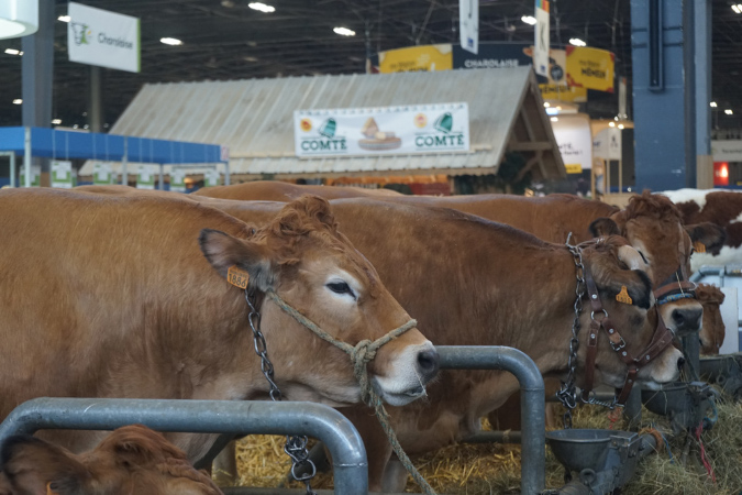 Agriculture_26-01-19%20(31)