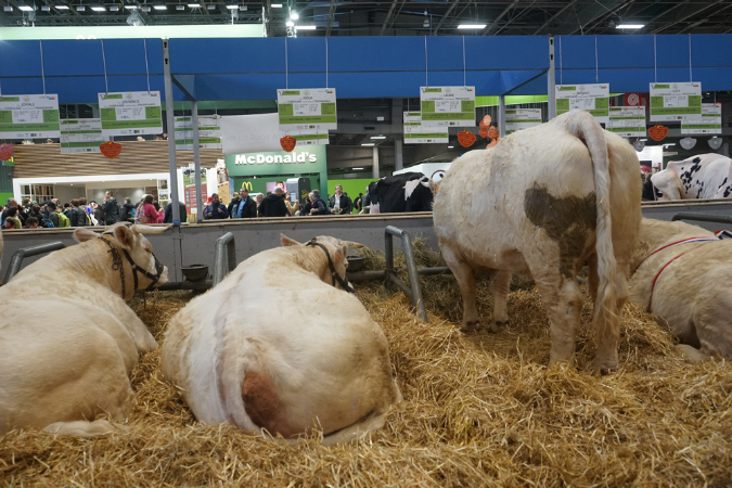 Agriculture_26-01-19%20(33)