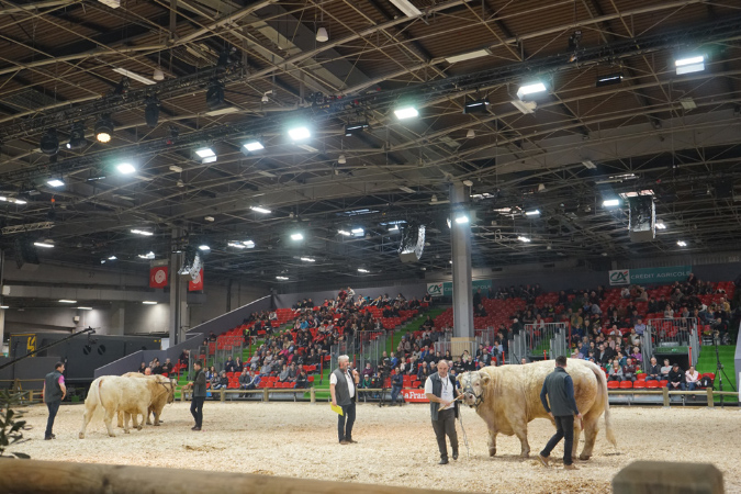 Agriculture_26-01-19%20(34)