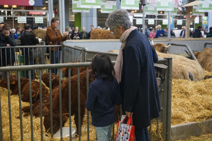 Agriculture_26-01-19%20(37)