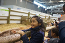 Agriculture_26-01-19%20(27)