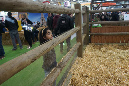 Agriculture_26-01-19%20(28)