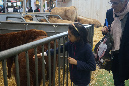 Agriculture_26-01-19%20(38)
