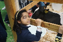 Agriculture_26-01-19%20(42)