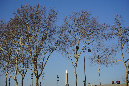 Bateaux-mouche_27-02-19%20(59)