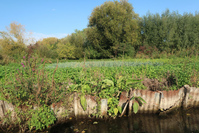 15sept-Amiens%20(19)