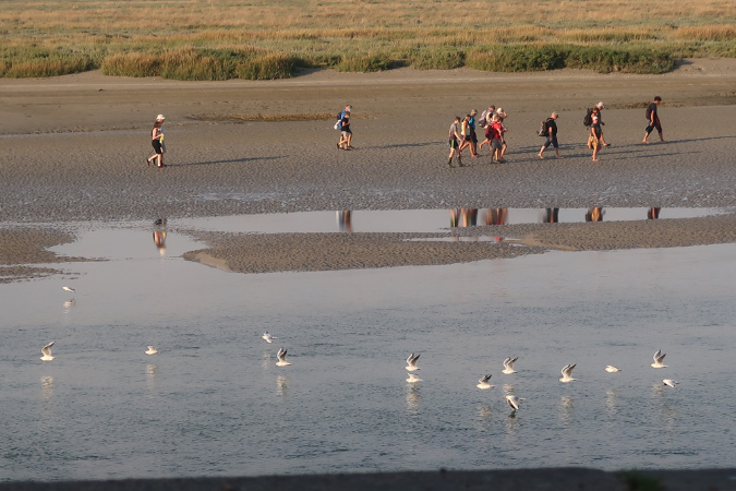 16sept_BaiedeSomme%20(21)