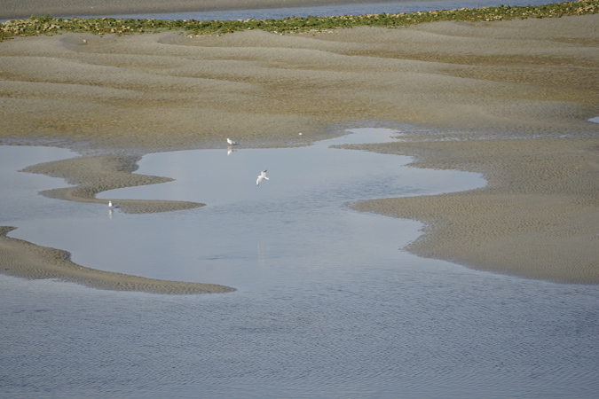 16sept_BaiedeSomme%20(3)