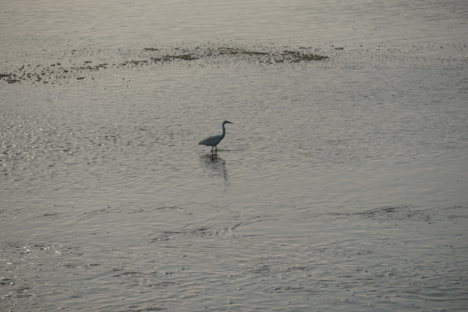16sept_BaiedeSomme%20(34)