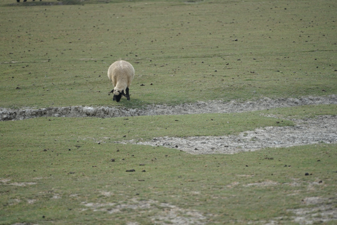 16sept_BaiedeSomme%20(78)