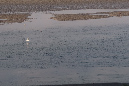 16sept_BaiedeSomme%20(20)