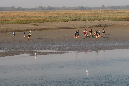 16sept_BaiedeSomme%20(22)
