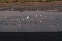 16sept_BaiedeSomme%20(27)