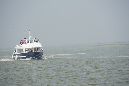 16sept_BaiedeSomme%20(69)