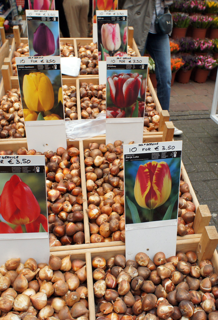 Amsterdam_18_aout_2011_043