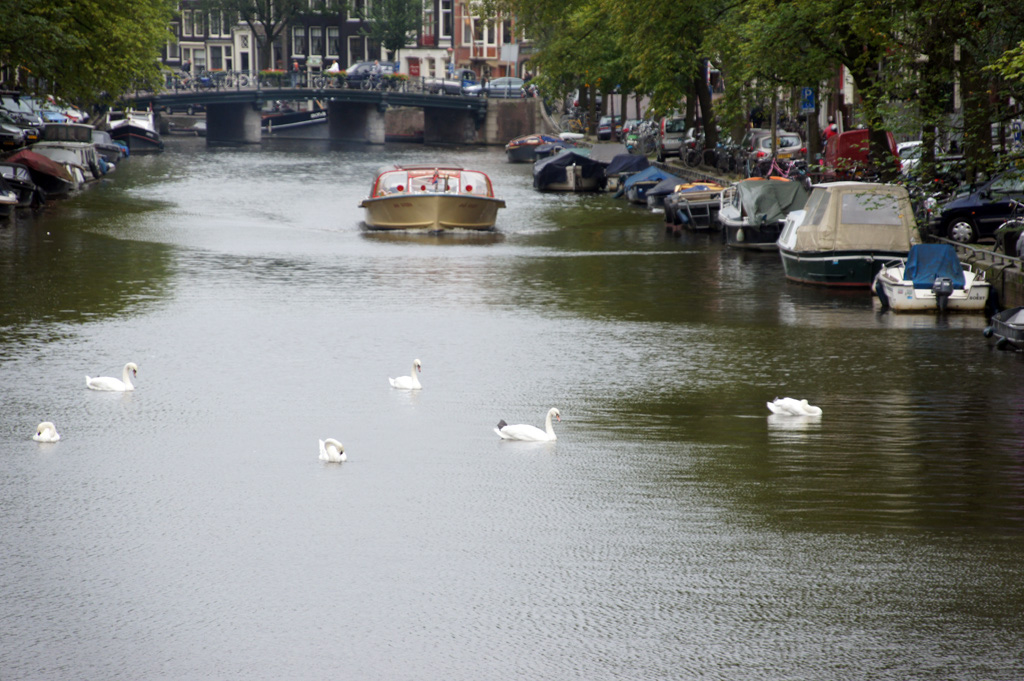 Amsterdam_18_aout_2011_082