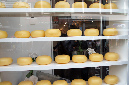 Amsterdam_18_aout_2011_007