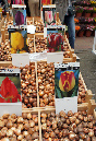 Amsterdam_18_aout_2011_043