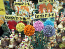 Amsterdam_18_aout_2011_045