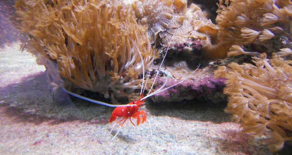 7_aout_2011_39