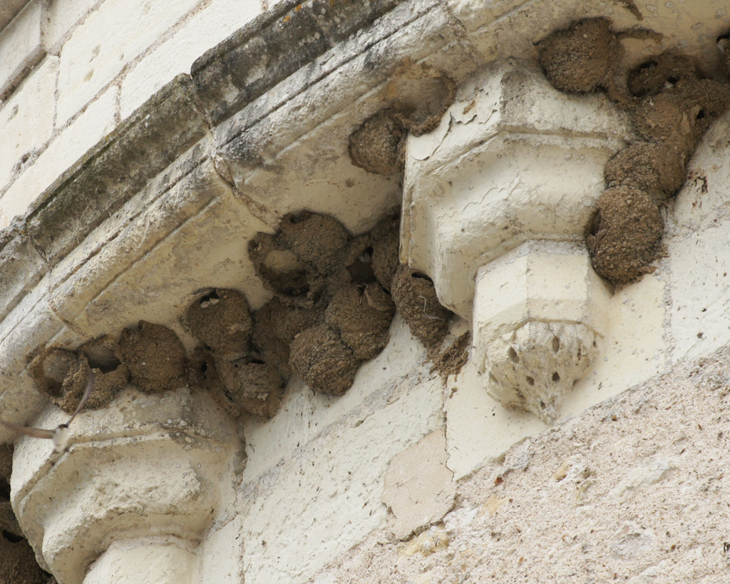 13_juillet_2011_027