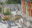 13_juillet_2011_117