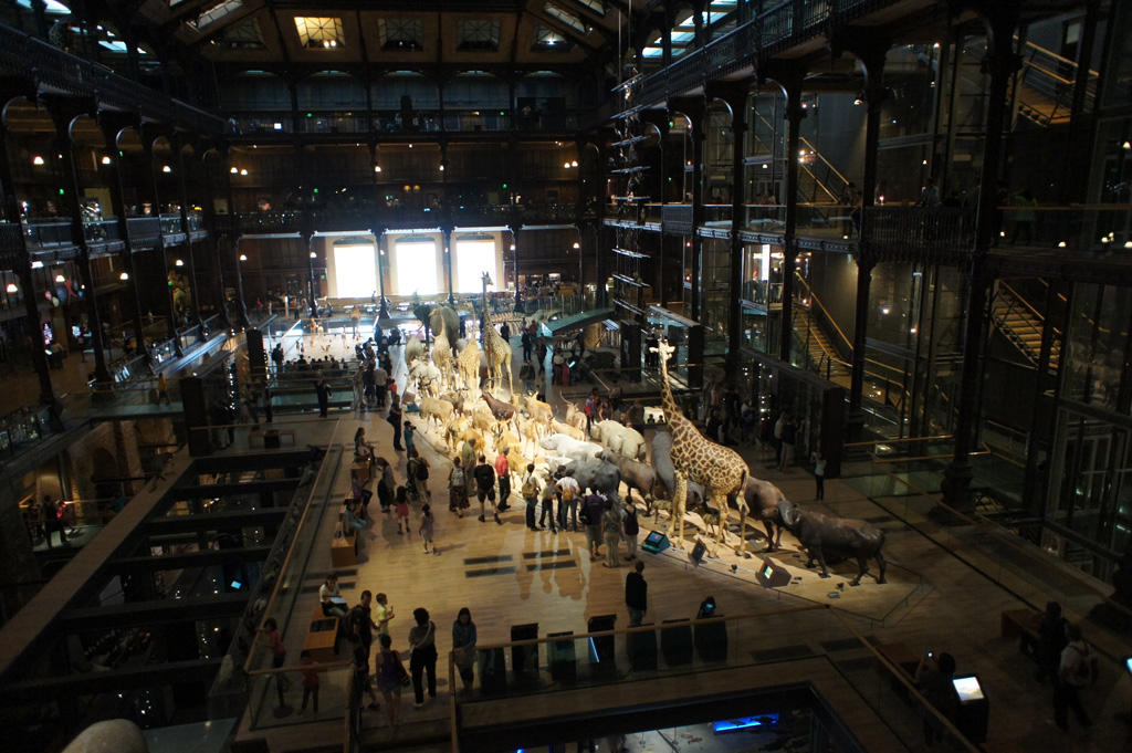 5_aout_2011_68