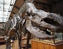 5_aout_2011_46