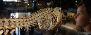 5_aout_2011_64