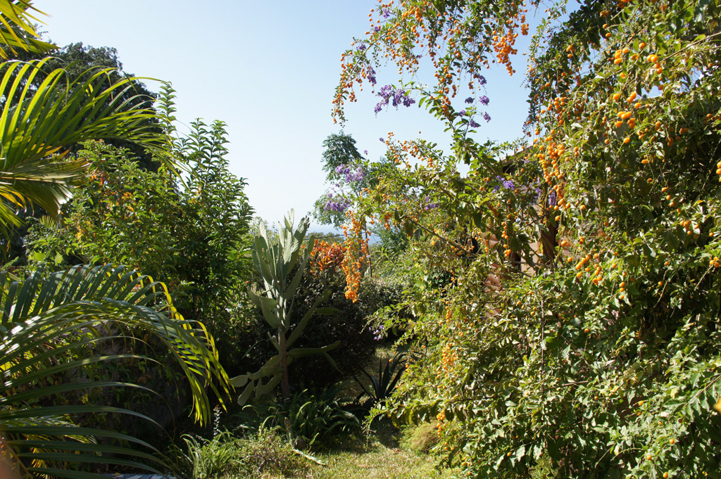 18_sept_2011_12