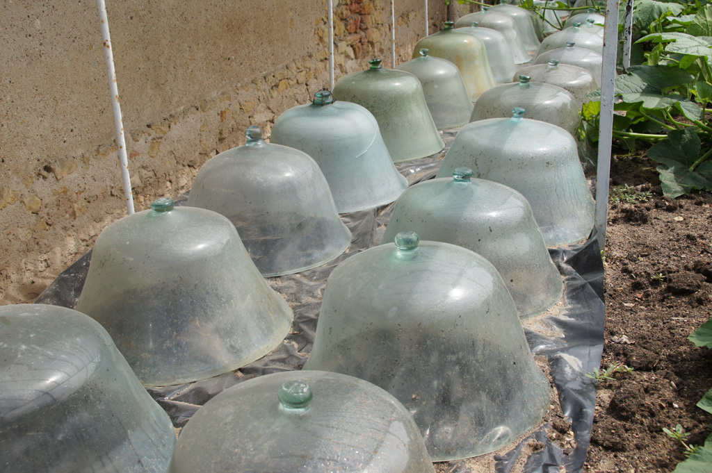 13_juillet_2011_083