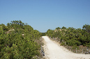 26_juin_2011_21