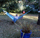 26_juin_2011_27