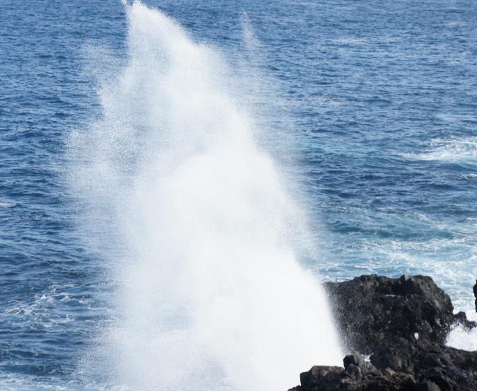 Album_juillet_2012_19