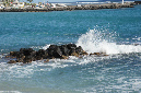 Reunion_juillet_2012_006