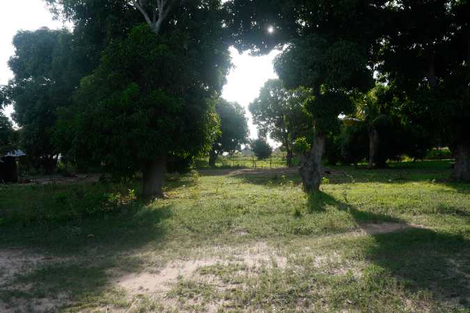 Mada_2012_084