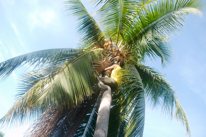 Mada_2012_088